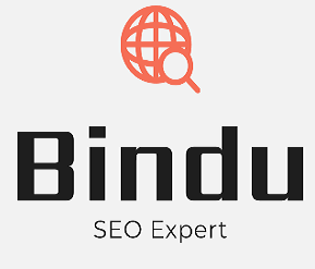 Bindu SEO Expert Gurgaon